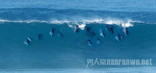 虫虫助手下载